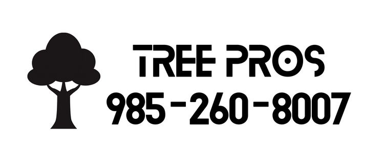 Tree service in Slidell